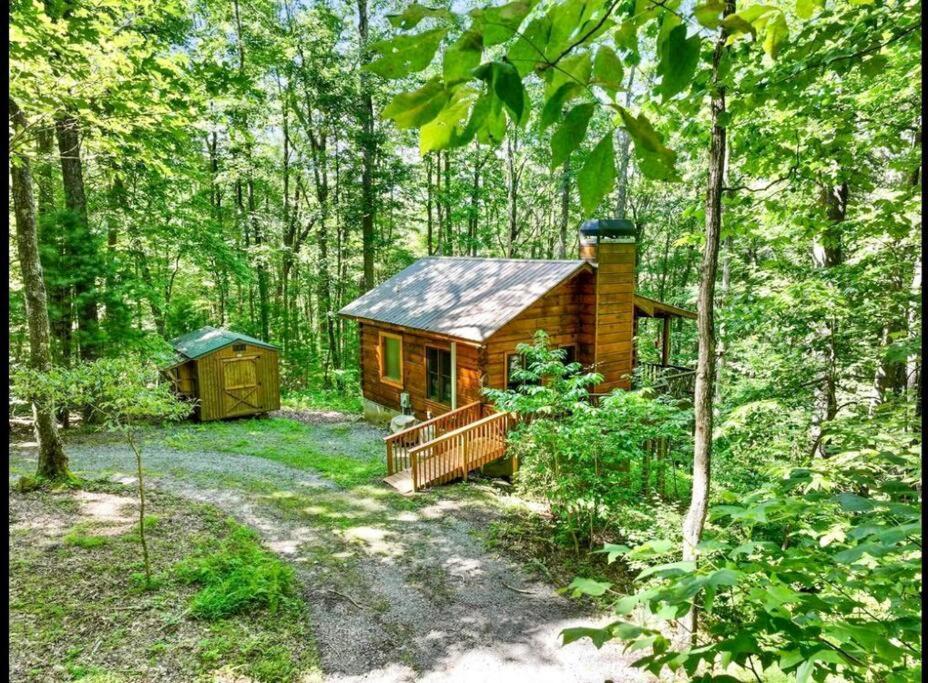 Open Studio Lodge At Little Rock Creek Cherry Log Exterior foto